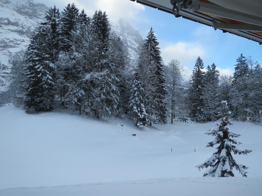 Mom - Alpine Boutique Apartments, Grindelwald Gletscher, Eiger View Terrace Studio Rum bild