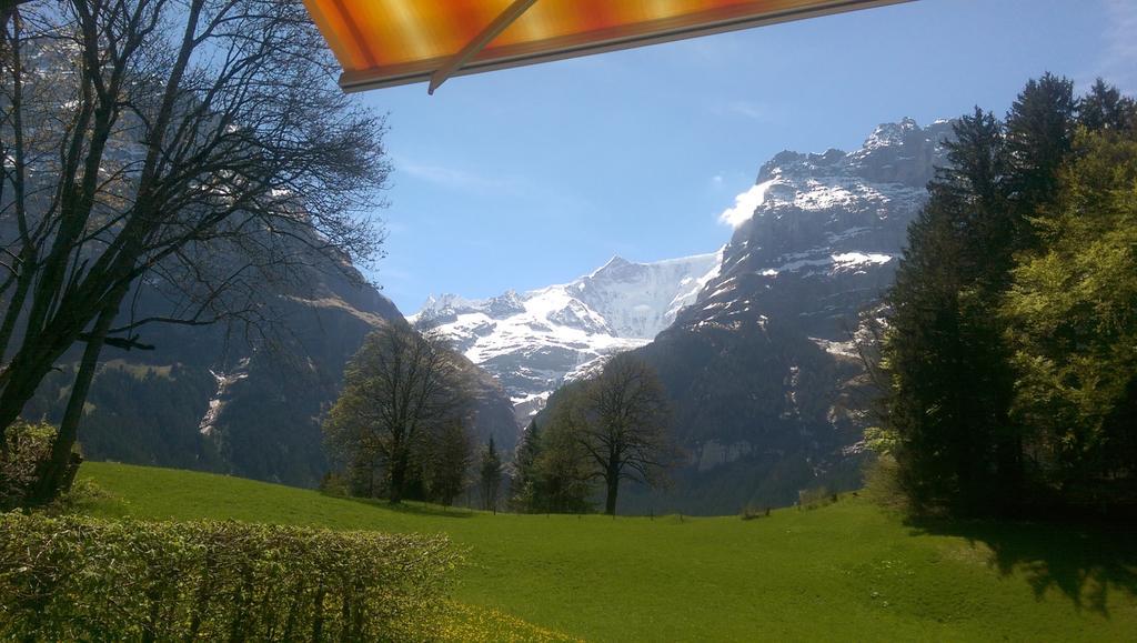 Mom - Alpine Boutique Apartments, Grindelwald Gletscher, Eiger View Terrace Studio Rum bild