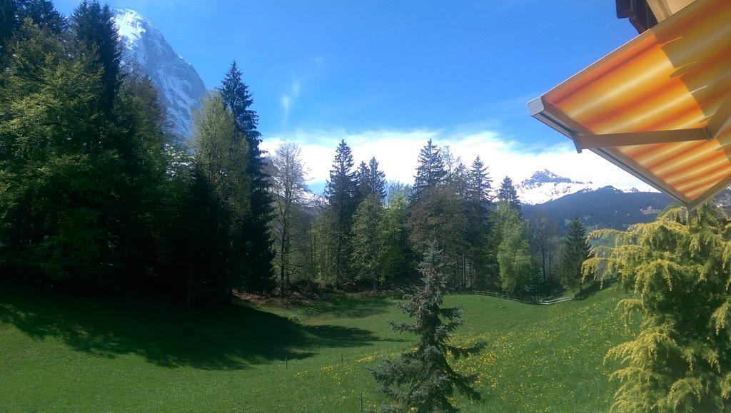 Mom - Alpine Boutique Apartments, Grindelwald Gletscher, Eiger View Terrace Studio Rum bild