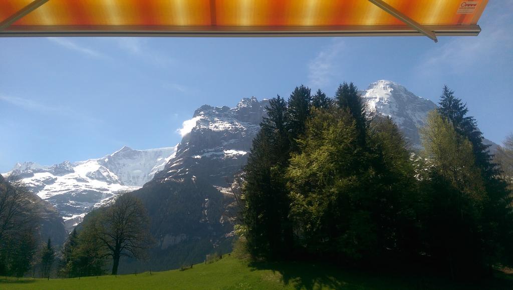 Mom - Alpine Boutique Apartments, Grindelwald Gletscher, Eiger View Terrace Studio Rum bild