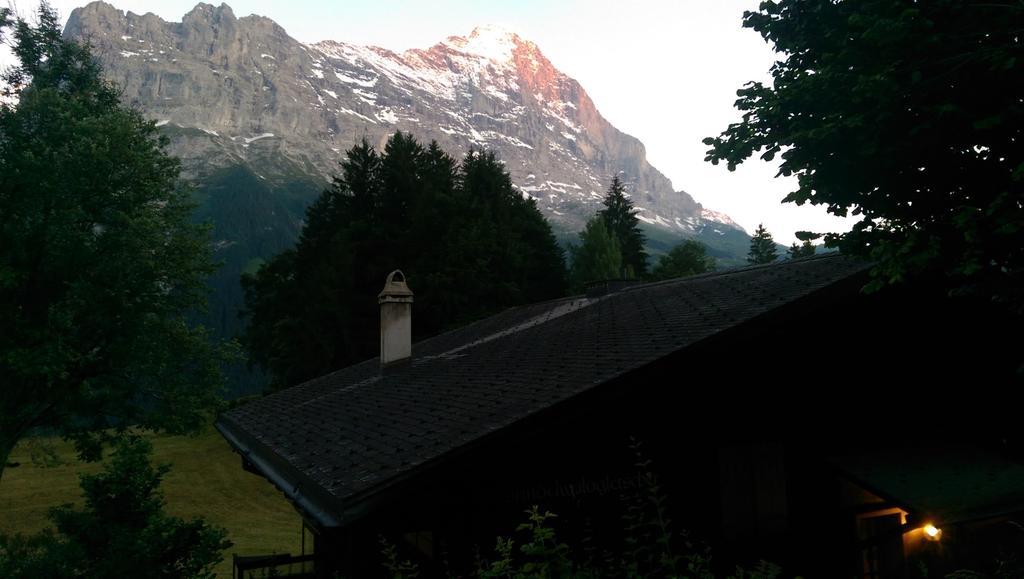 Mom - Alpine Boutique Apartments, Grindelwald Gletscher, Eiger View Terrace Studio Rum bild