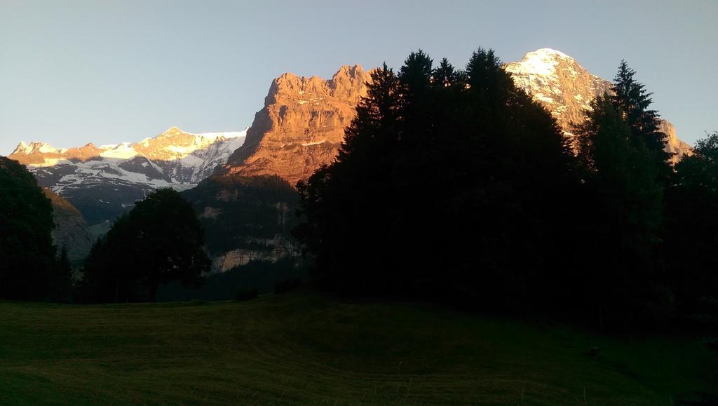 Mom - Alpine Boutique Apartments, Grindelwald Gletscher, Eiger View Terrace Studio Rum bild