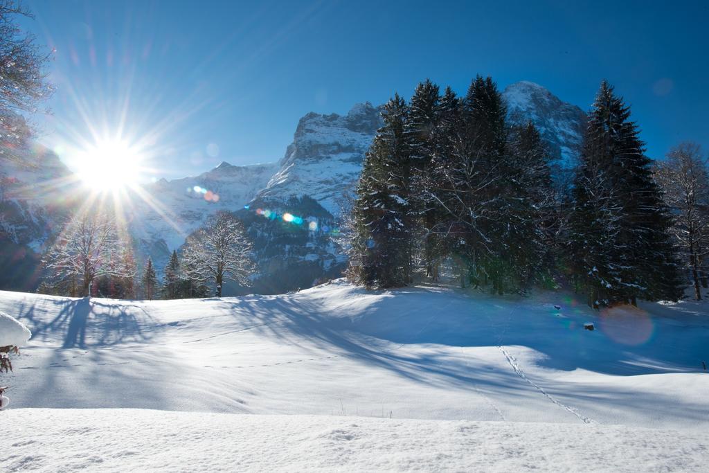 Mom - Alpine Boutique Apartments, Grindelwald Gletscher, Eiger View Terrace Studio Rum bild